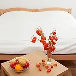Apartments Castanea